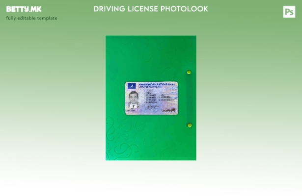 модерен стил Litva (Литванија) DL photolook FRONT шаблон